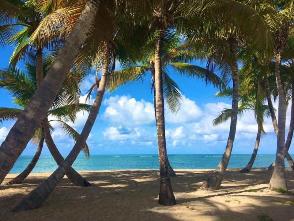 Cozy Suite At Coco Beach , Not Pets Rio Grande Exterior photo