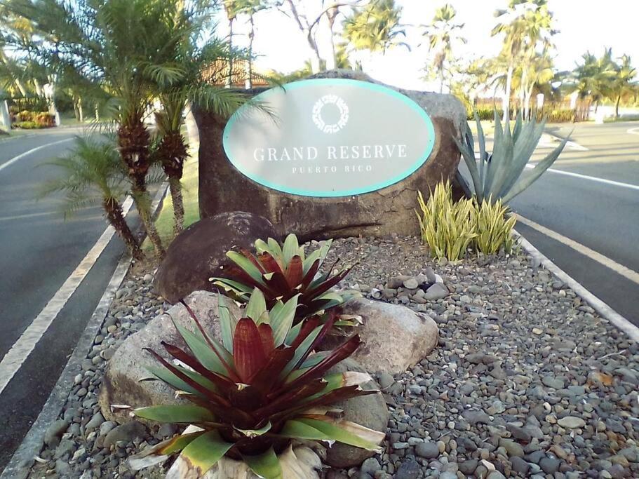 Cozy Suite At Coco Beach , Not Pets Rio Grande Exterior photo